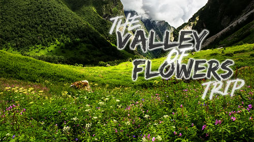 The Valley of Flowers Trip