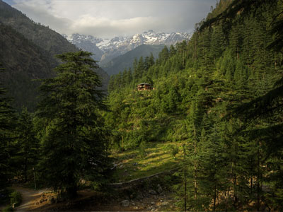 Kasol