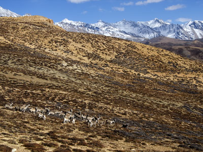 Spiti Valley