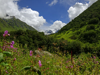 Valley of Flowers