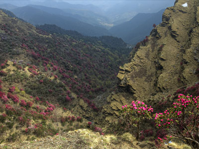 Chopta Valley