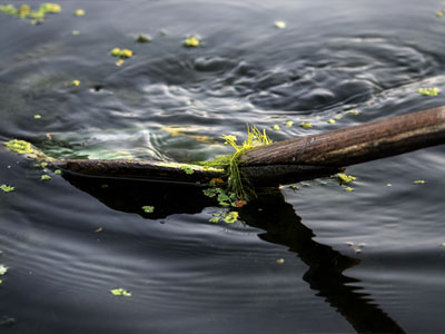 Srinagar - Dal Lake