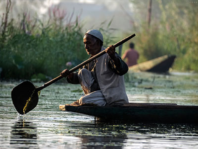 Dal Lake - Portrait